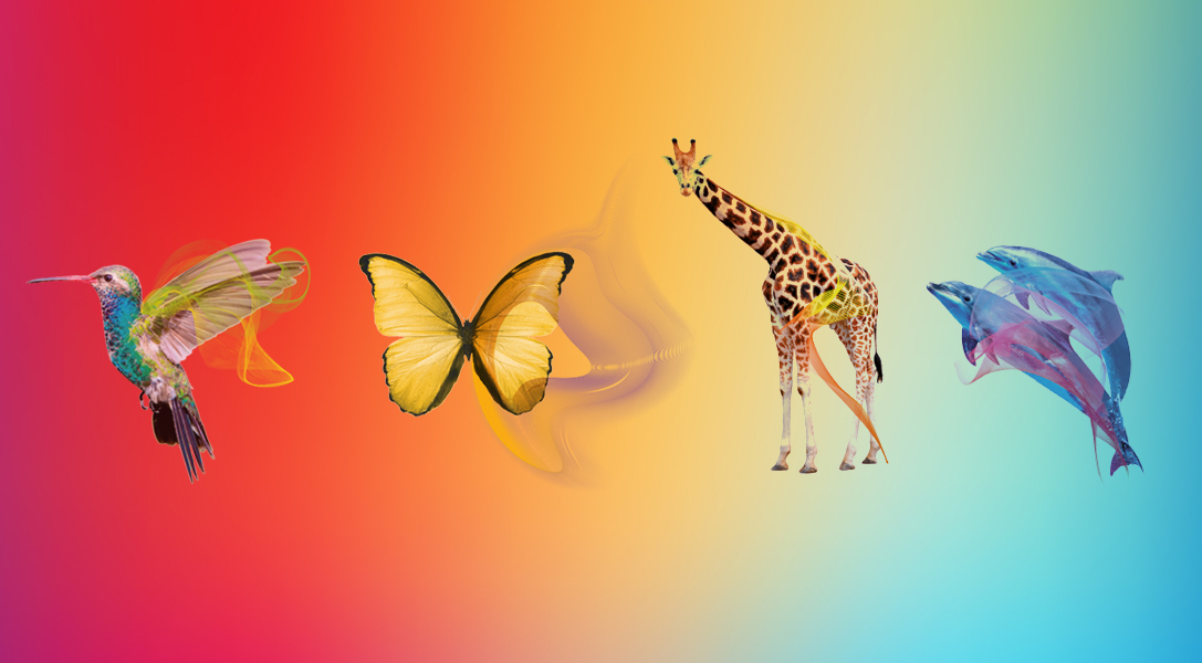 fy_sito2021_about_sistem_banner_img2.jpg