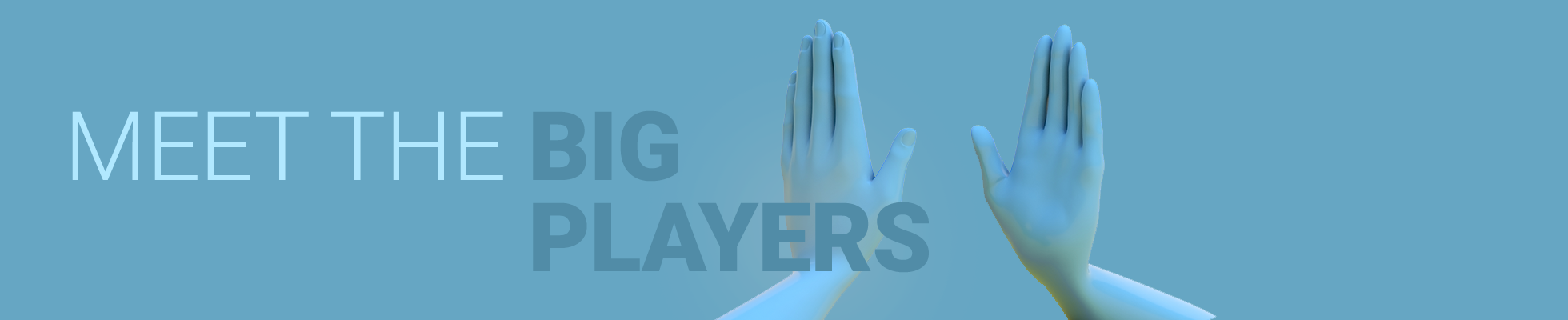 Incontra un BigPlayer